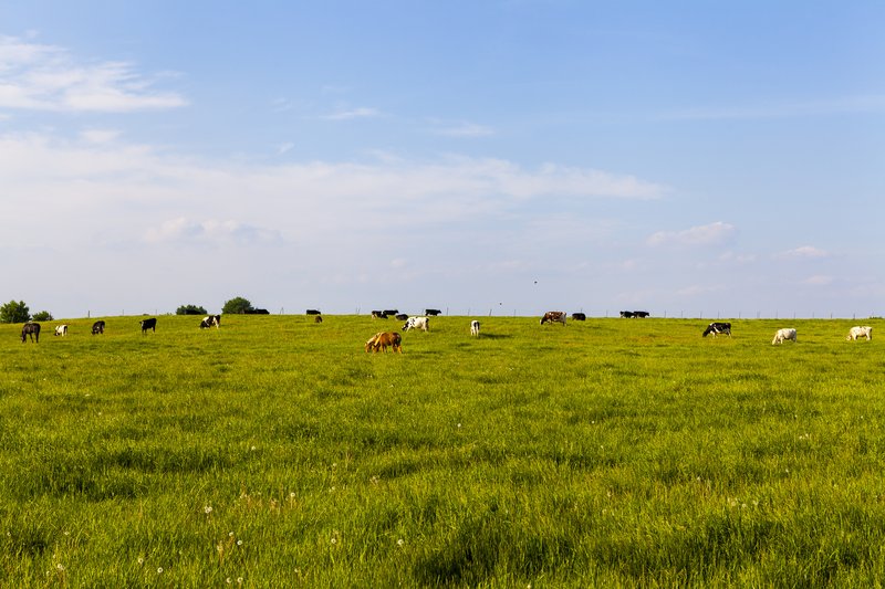 farm landscape